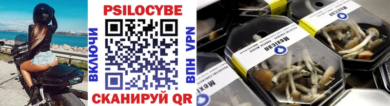 kraken сайт  Мосальск  Псилоцибиновые грибы Psilocybe 